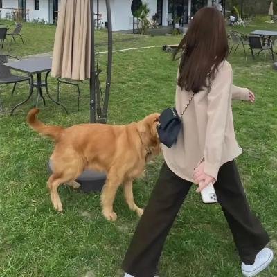 恶魔突袭队